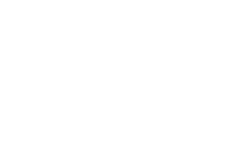 HappyTurtle